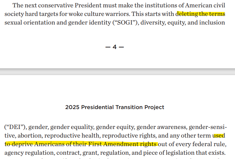 realKathyB's tweet photo. #Project2025 says terms like sexual orientation and gender identity, diversity, equity, and inclusion, abortion, reproductive health and rights, and more are terms used to deprive Americans of their First Amendment rights. And so they should be stricken. https://t.co/1k8TjWUQSu https://t.co/FnhLhDr45J