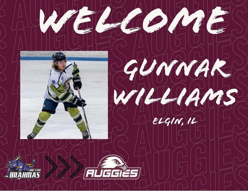 Augsburg Men's Hockey tweet media