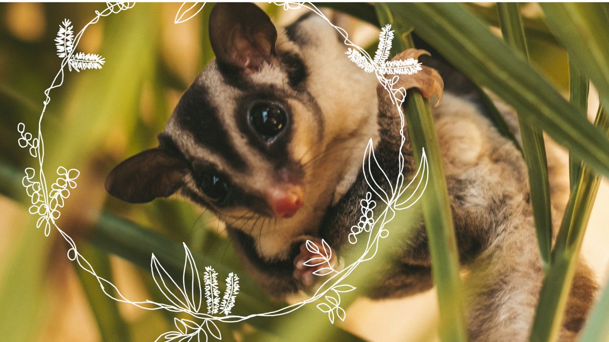 Teacher and poet Joanna Hayes reflects on the waiting and preparing for the Messiah, God with us, in our common home for our sixth Advent devotional.
👇
commongrace.org.au/advent_common_…
#Advent #Hope #CommonHome #Advent2023 #Devotional #Day6 #CommonGraceAus