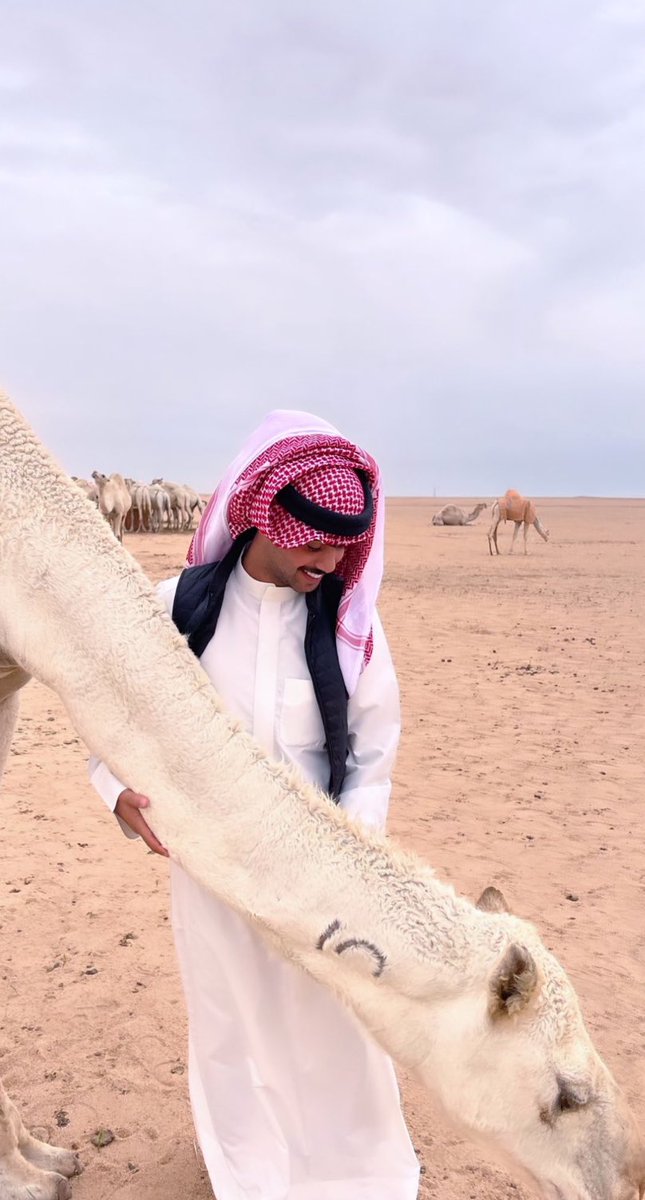 الضلوع الجراهيد ..