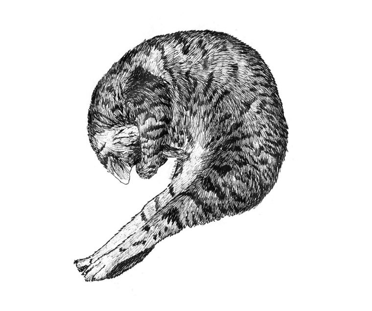 LOOK AT THOSE ADORABLE LITTENS⚡️⚡️⚡️
found wonderful <a href="/alevART_eth/">AlevART</a> at @ZmirnayaArt ✖️ZM SHOW✖️
collected them!🖤🖤🖤
1. meow
2. sun bath x2 
3. shrimp cat

collection “anima”ᐁ ᐁ ᐁ
objkt.com/collection/KT1…