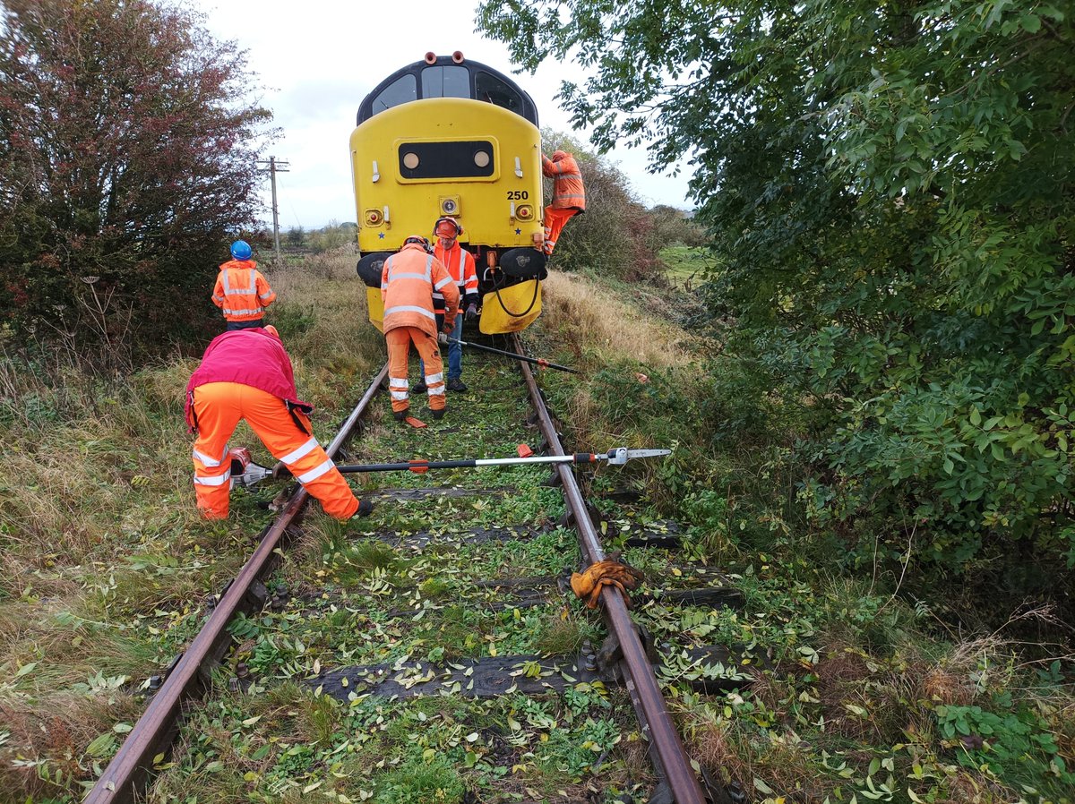 A recent task for our busy Vegetation Team - removing overhanging branches near #Northallerton. This ensured smooth passage for the arriving #black5 & #polarexpress loco off the mainline.📸Alan Graham #volunteering #railway #wensleydalerailway #uktrainspotting #class37 #yorkshire