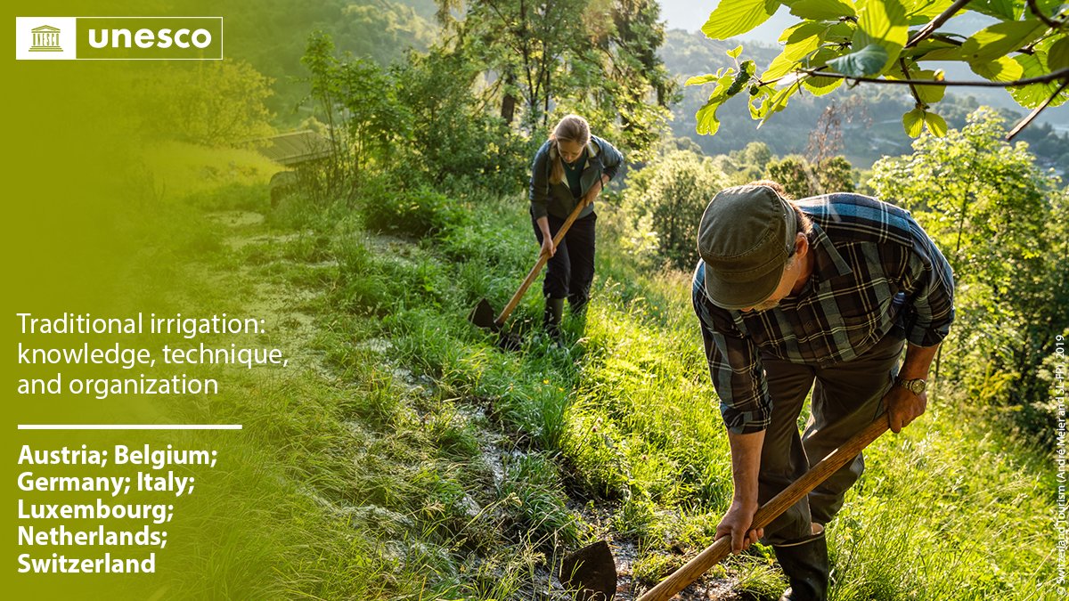 🔴 BREAKING

New inscription on the #IntangibleHeritage List: Traditional irrigation: knowledge, technique, and organization, #Austria🇦🇹, #Belgium🇧🇪, #Germany🇩🇪, #Italy🇮🇹, #Luxembourg🇱🇺, #Netherlands🇳🇱, #Switzerland🇨🇭.

Congratulations!

on.unesco.org/18ICH #LivingHeritage