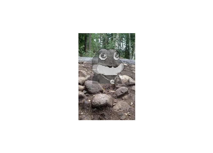 BullishFrogX's tweet photo. @robs1011 I dont see it @BitcoinFrogs https://t.co/bCGrNMcMqU