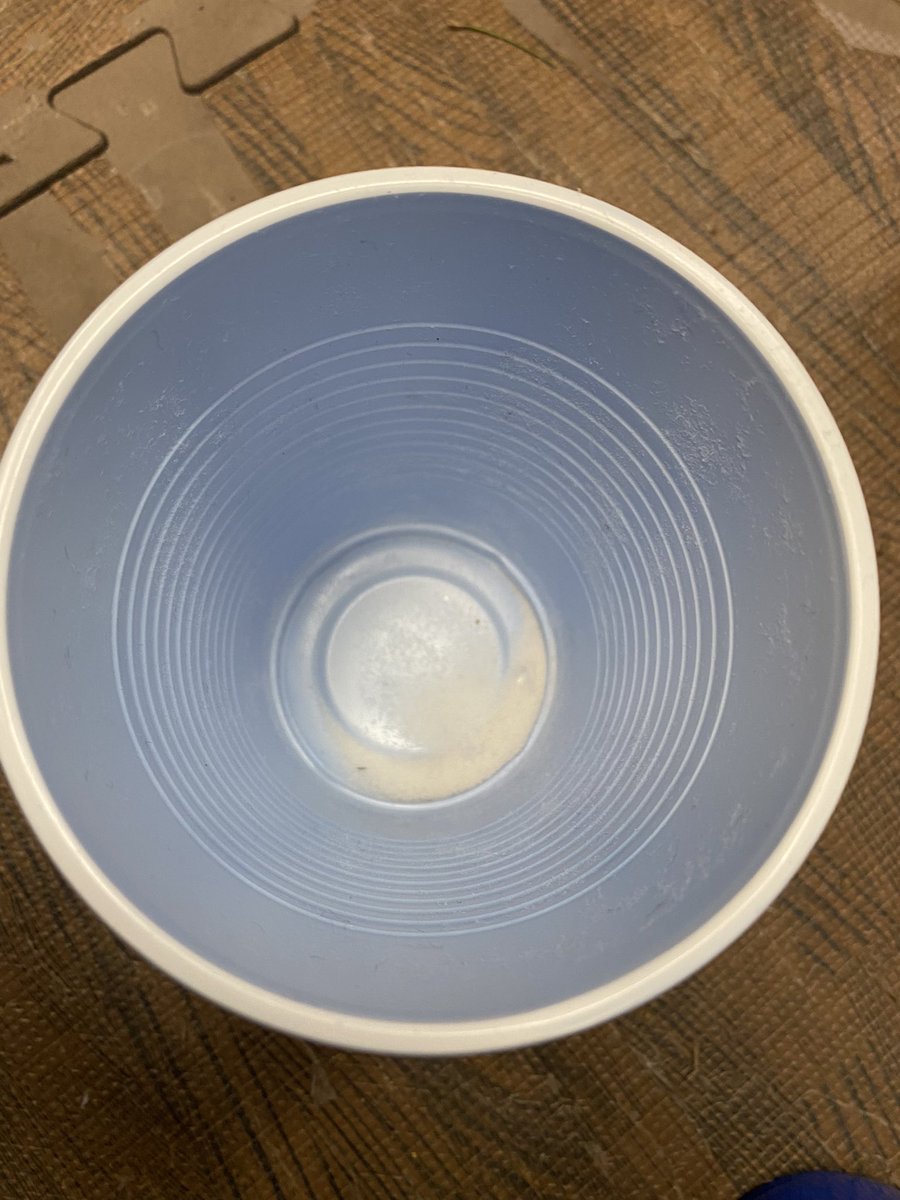 Tesla Filice tweet media