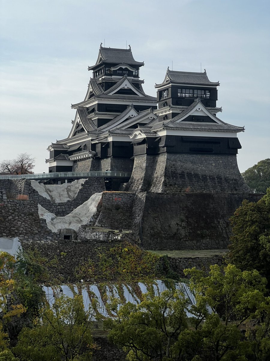 Bobby_r_rose23's tweet photo. Beautiful Kumamoto Castle right outside our hotel window!
Wow!
#kumamoto
#bobbyrose
#JRFPA https://t.co/e5qTLZHVpa