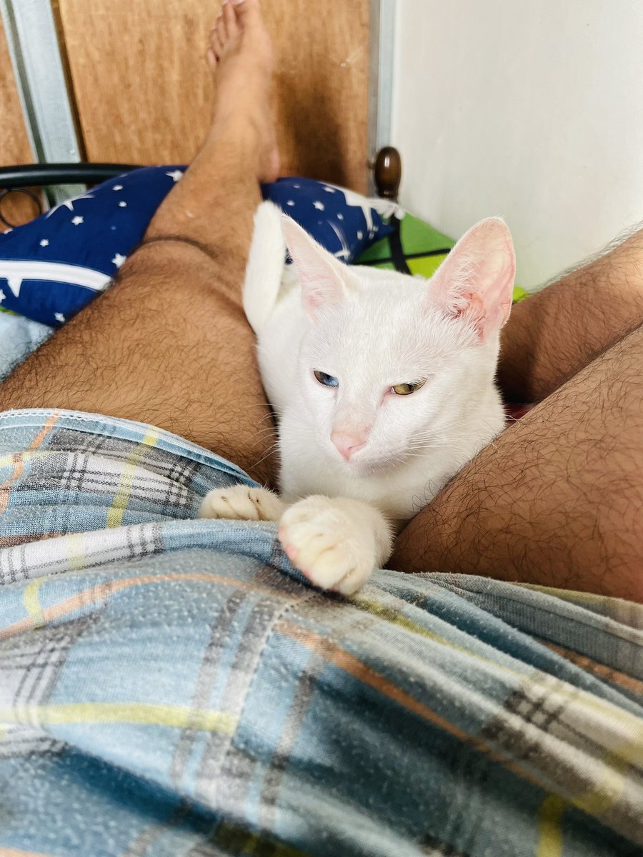 justfor53XVideo's tweet photo. May pusang makulit https://t.co/Ve0hzG5kXb