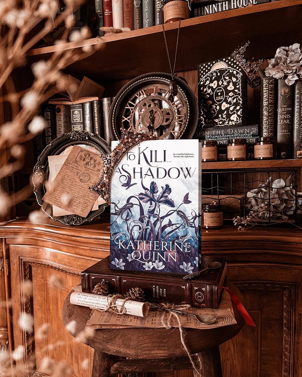 MTMC Tours ✨📚 tweet media