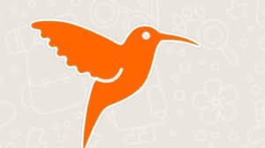MIGUELFRAGA77's tweet photo. Palabra clave #colibri pasalo https://t.co/ftqRzYpf5Y