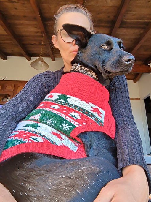 Chica doesn't like her sweater but I think its cute! https://t.co/cg8oUGGn0p