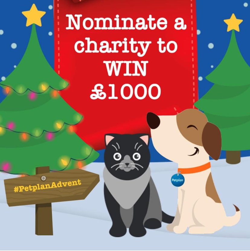 #PetplanAdvent, Day 5 💙in the season of giving, Behind today's door, you have the chance to select an animal charity that you would like Petplan to donate £1,000 

Please head to our website to submit your nominations 🎄👉 bit.ly/PetplanAdvent