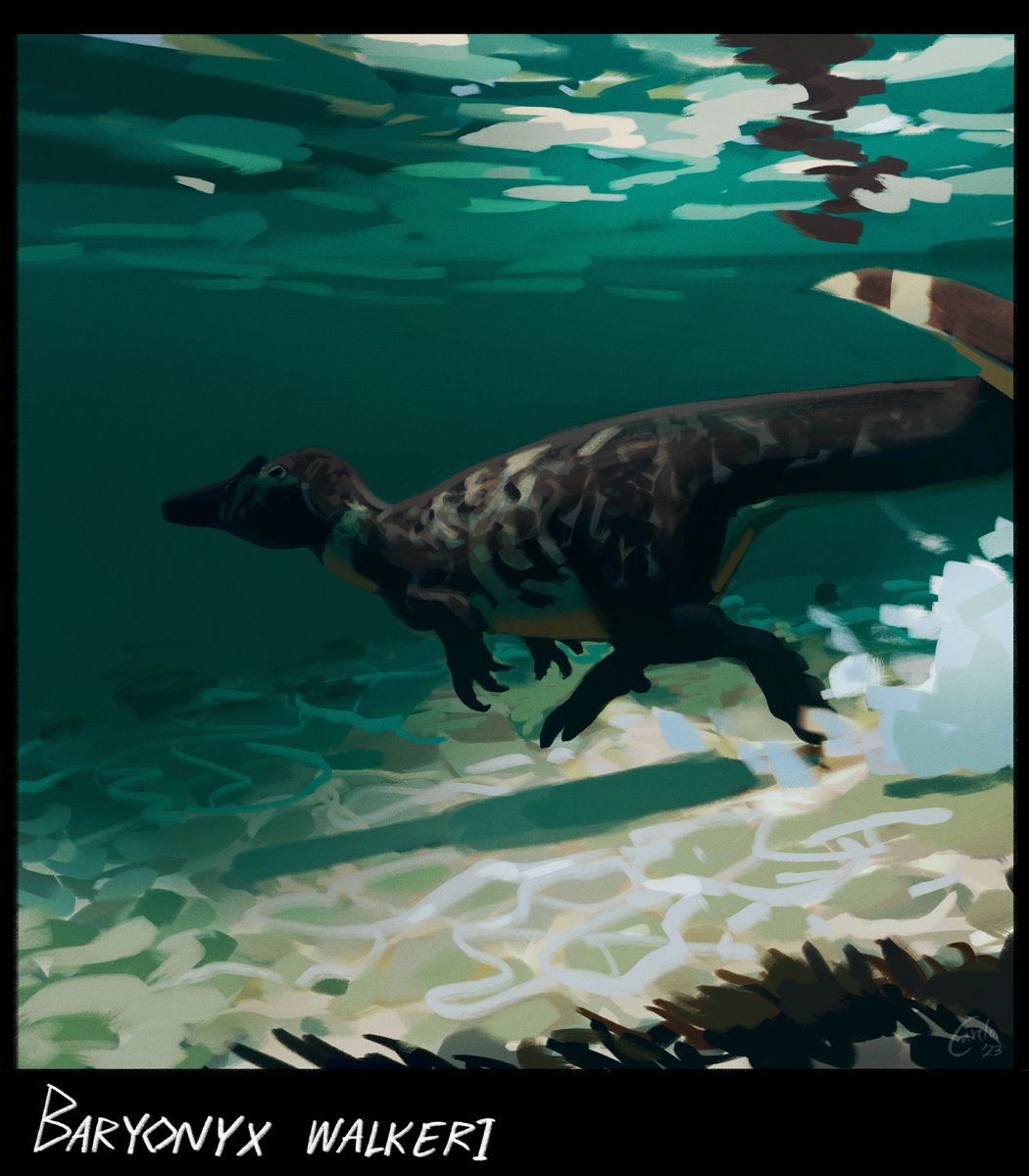 caxela1's tweet image. (Dinocember Day 5)
A Baryonyx puts its swimming capabilities on display as it forages underwater.