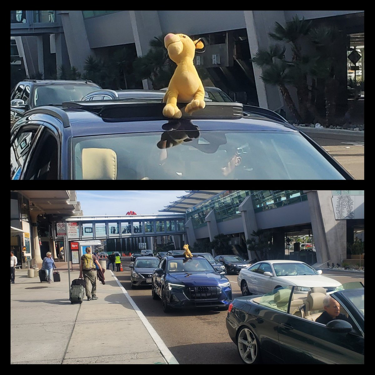 How does a husband of a furry pick him up at the airport returning from MMF? This is how⤵️