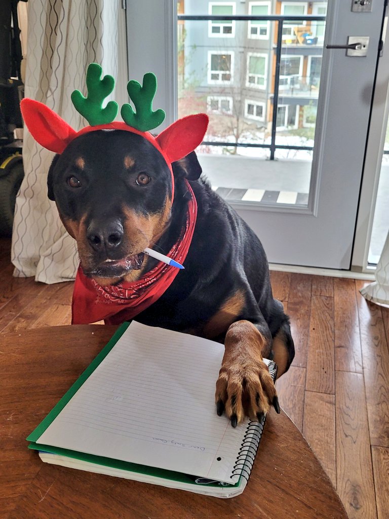 Today we're going to write letters to Santa.
What should we ask for?
What's on your list?

#ChristmasWithKuno #LettersToSanta #Dogs
