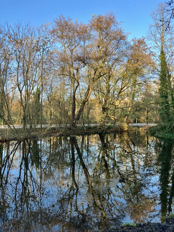 #Vondelpark
