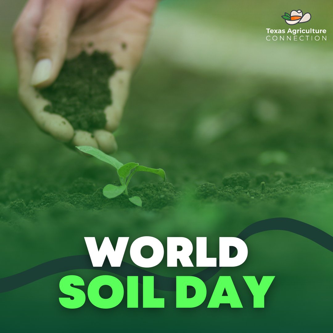 Texas Agriculture Connection tweet media