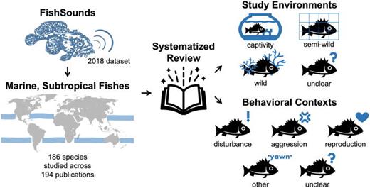 SPECIAL ISSUE: FISH BIOACOUSTICS Researchers explored documented acoustic behaviors in marine, subtropical fishes and potential influences affecting their relative pervasiveness. doi.org/10.1121/10.002… @fishsoundsweb @JuanesLab @RodneyAlanRoun1 @KieranCx @Amalis51233217