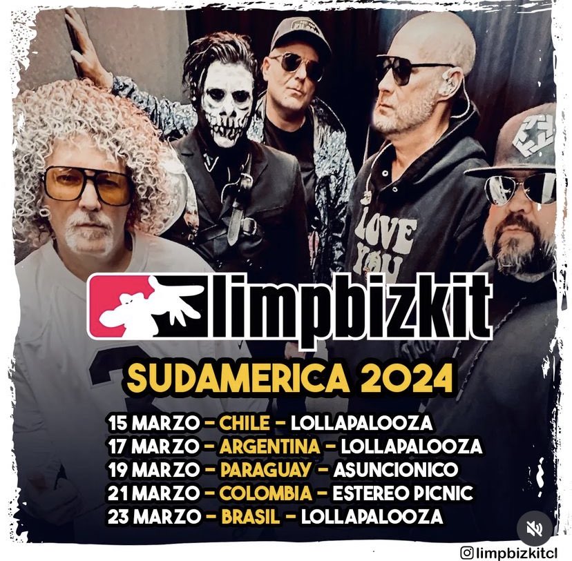 w h i t e . n i n j a tweet media