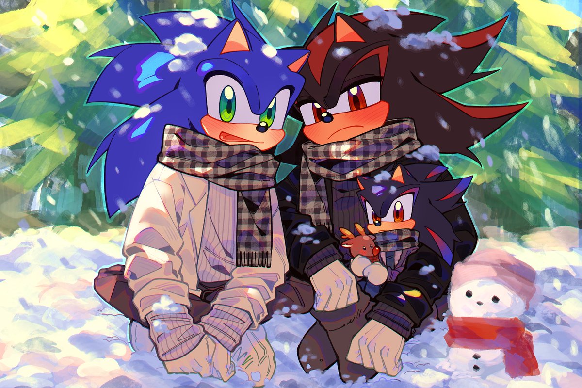 sonicthehedgehog, sonic the hedgehog, sonadow / protection - pixiv