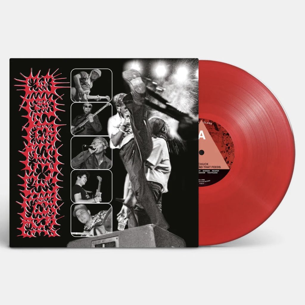 Bear Tree Records tweet media