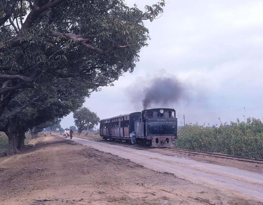 NavinJdu's tweet photo. आरा सासाराम लाइट रेलवे का एक मंज़र, साल 1977 की बात है।

इस रेलवे लाइन की शुरुआत साल 1914 में हुई थी। जो एक ब्रिटिश कंपनी मार्टिन्स लाइट रेलवे के तहत आता था। https://t.co/9VISYV8G81