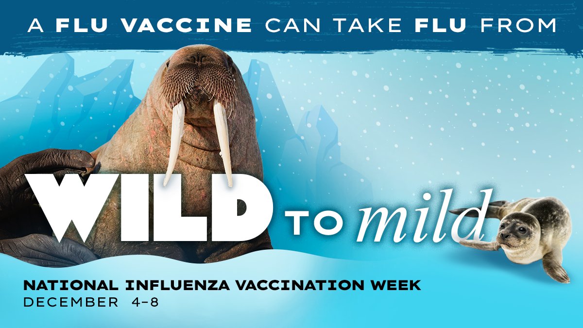 Flu can be wild, but there’s still time to protect yourself from #flu and its worst symptoms this National Influenza Vaccination Week. Flu activity can continue into spring — so talk to your health care provider about a flu vaccine and #FightFlu.