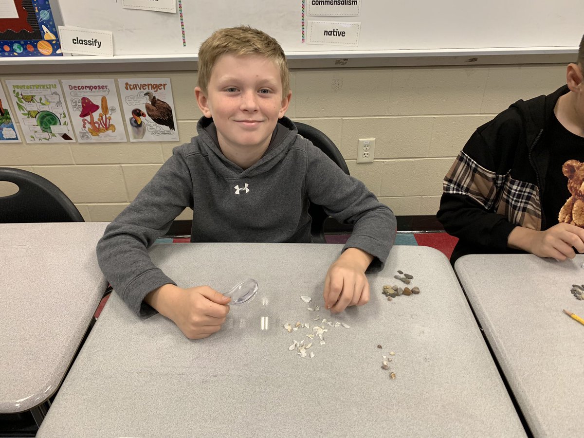kgregorsok's tweet photo. Today we compared Lake Erie shell samples from 2017 and 1976. It’s amazing to see how much the zebra mussel population has changed things! #otsegoknights https://t.co/8BfQxU0OiT