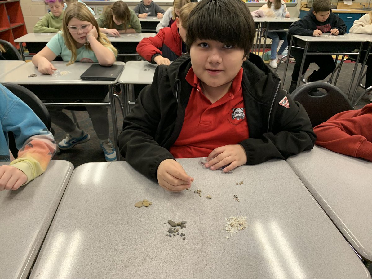 kgregorsok's tweet photo. Today we compared Lake Erie shell samples from 2017 and 1976. It’s amazing to see how much the zebra mussel population has changed things! #otsegoknights https://t.co/8BfQxU0OiT