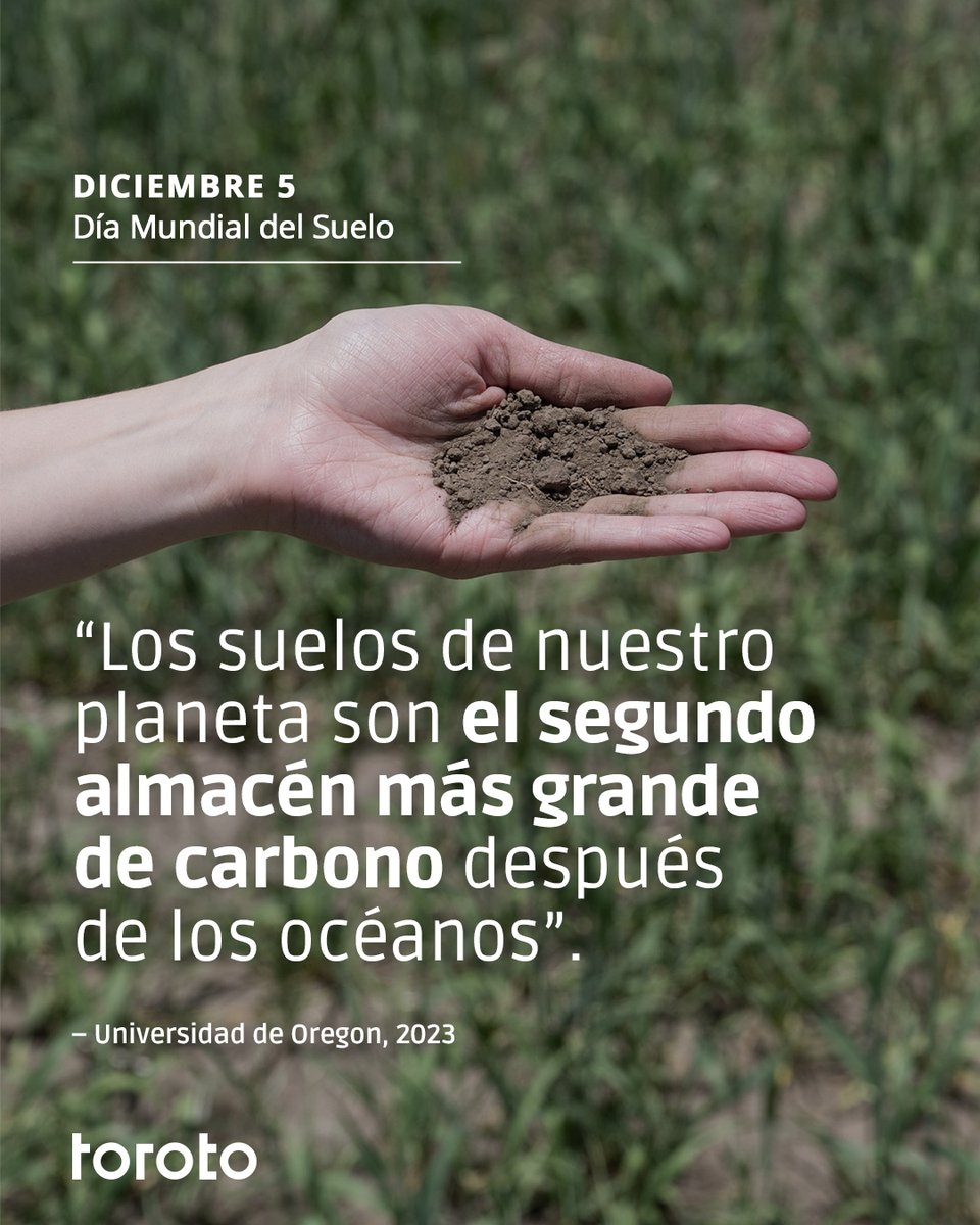 Los suelos desempeñan un sinfín de roles para sostener la vida en nuestro planeta. Hoy, Día Mundial de los Suelos, queremos reflexionar sobre la importancia de proteger este recurso. ¡El suelo es una fuente de vida! 🌱