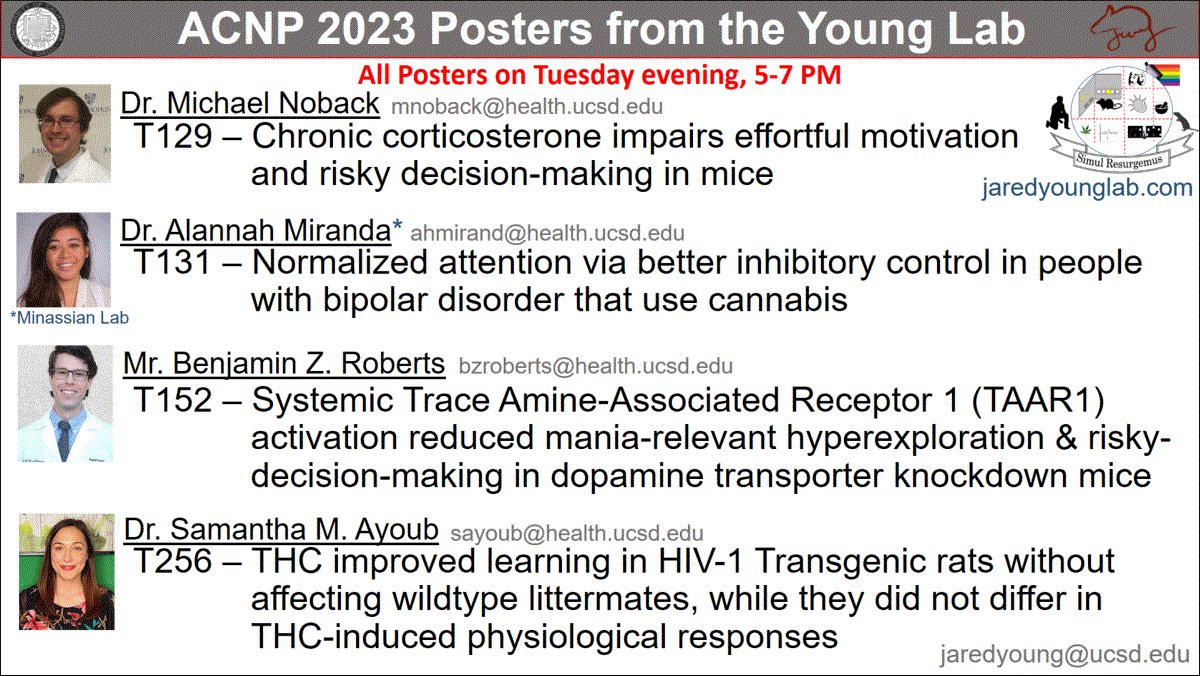 Jared W Young 🏴 🏳️🌈 tweet media