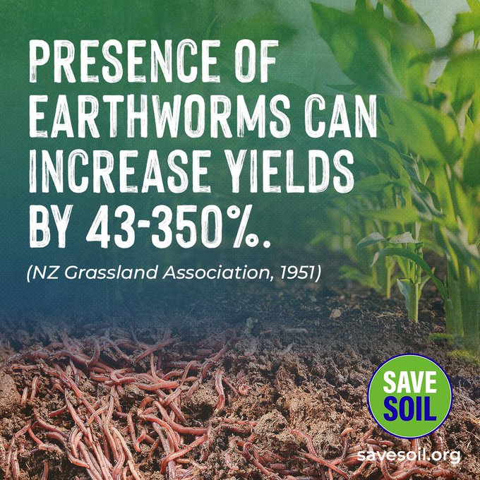 ishavanitha's tweet photo. As the world comes together for #COP28, let's emphasize the importance of healthy soil in climate solutions.  #soilforclimateaction https://t.co/g4e9curCND