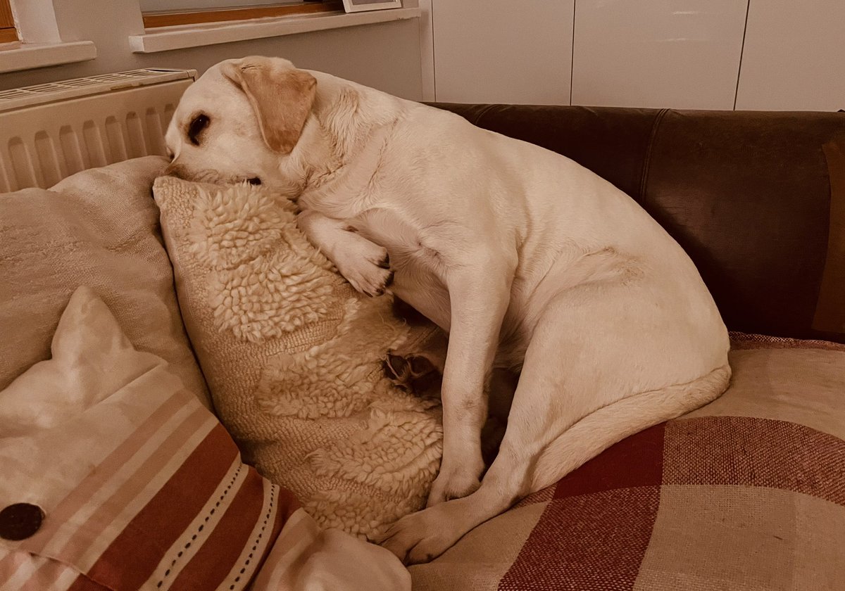 Some tired Talbotians at the moment. Keep going team,  we got this 👊🎊🎄🥱 <a href="/WellingtonUK/">Wellington College</a>