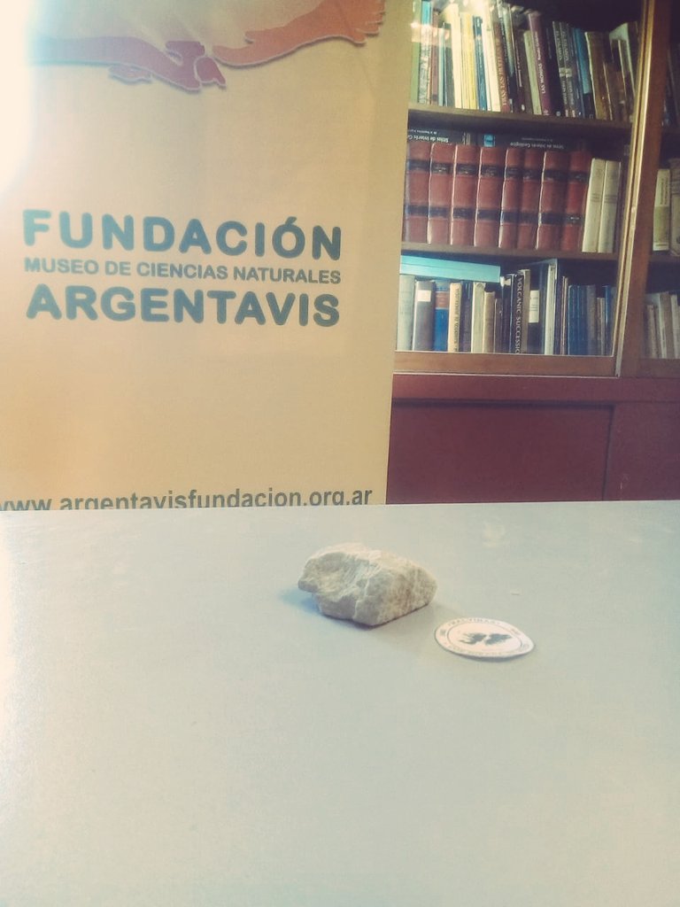 🏞️ Agradecemos la donación de Mirian Cao, de una roca del Monte Kent, testigo de la historia durante la Guerra de Malvinas. 🪨🏔️ Desde #ArgentavisFundación, acompañamos con orgullo la iniciativa de Mirian, de creación de un Museo de Malvinas, en la localidad de Berazategui.