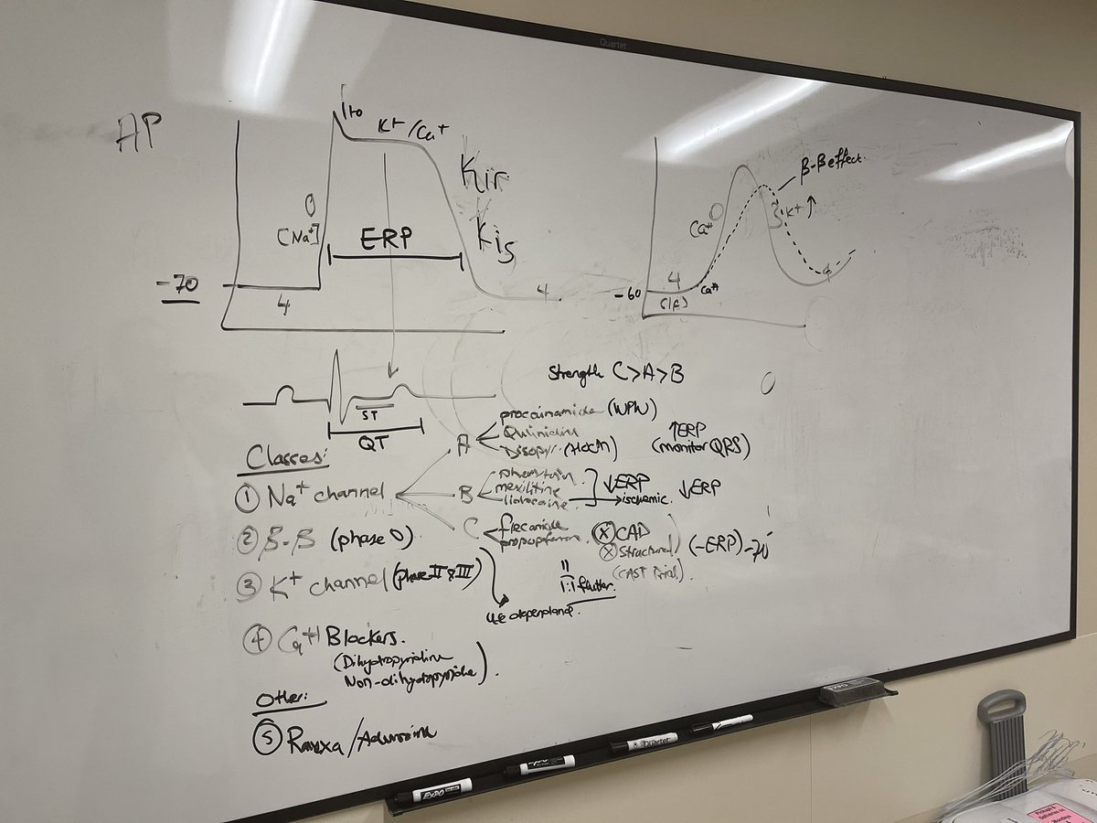 Abdulaziz Asbeutah (@azooz_asbeutah) on Twitter photo A quick whiteboard talk on Class 1 anti-arrhythmics for residents and students on General Cardiology Consults <a href="/uw_cvm/">UW-Madison Division of Cardiovascular Medicine</a> <a href="/uw_IMresidency/">UW IM Residency</a>. I think Iโm turning into an #EPeeps ๐
A quick whiteboard talk on Class 1 anti-arrhythmics for residents and students on General Cardiology Consults <a href="/uw_cvm/">UW-Madison Division of Cardiovascular Medicine</a> <a href="/uw_IMresidency/">UW IM Residency</a>. I think Iโm turning into an #EPeeps ๐