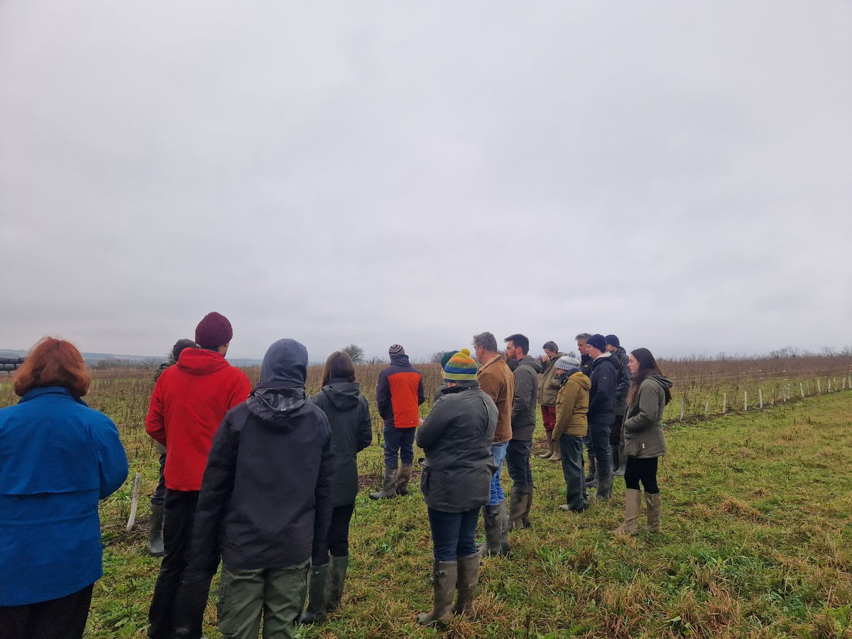 Had a fantastic training day on agroforestry design yesterday with <a href="/Ben_Raskin/">Ben Raskin</a> and <a href="/niels_corfield/">Niels Corfield</a> as part of <a href="/MillieSCHood/">Amelia Hood</a>'s fellowship, including a tour of the agroforestry at <a href="/RealFarmED/">FarmED</a> 🌳😊🌾🐄