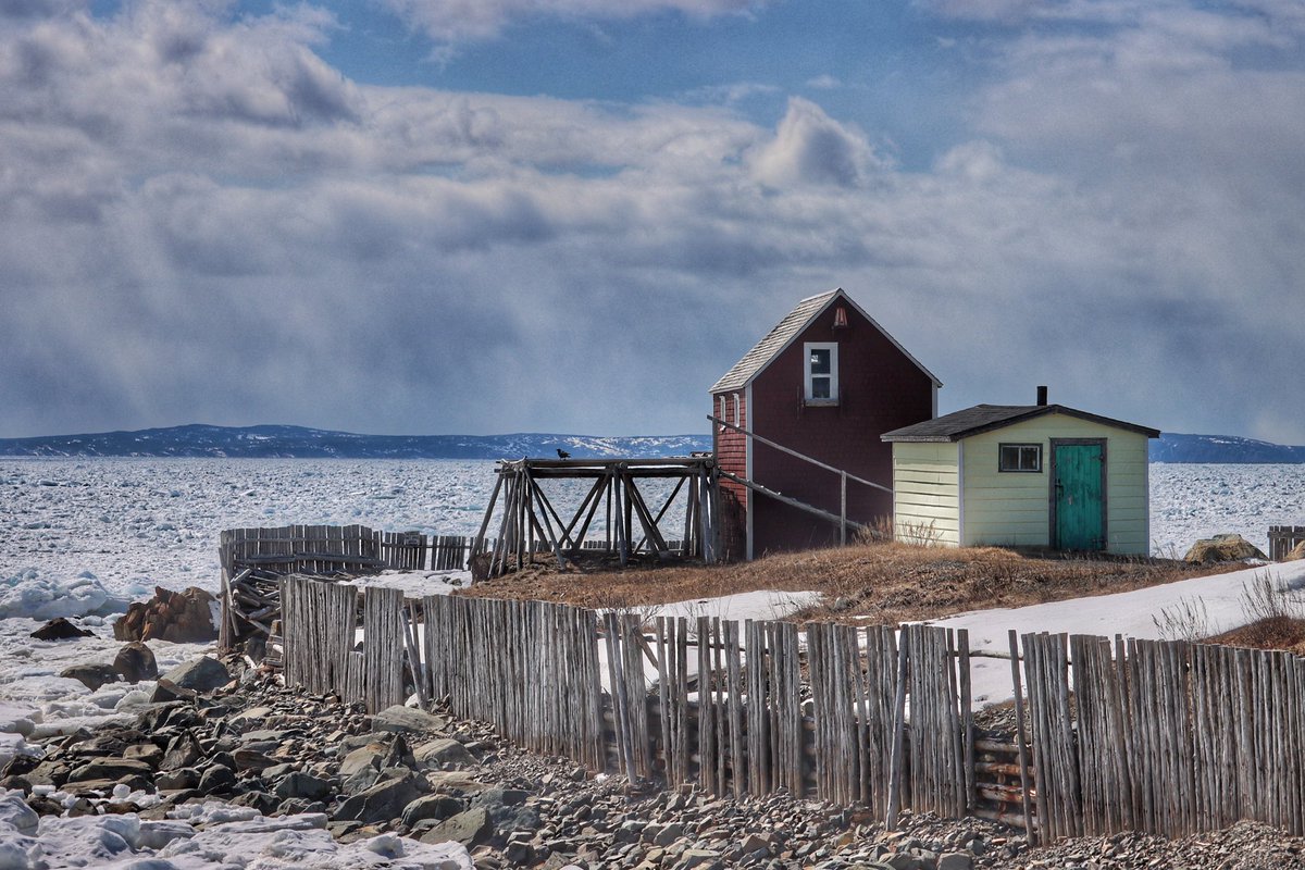 Cansado de todos los que llegan con palabras, palabras, pero no lenguaje, parto hacia la isla cubierta de nieve.
Lo salvaje no tiene palabras.
Las páginas no escritas se ensanchan en todas direcciones!
Encuentro huellas de pezuñas de corzo en la nieve.
Lenguaje, pero no palabras