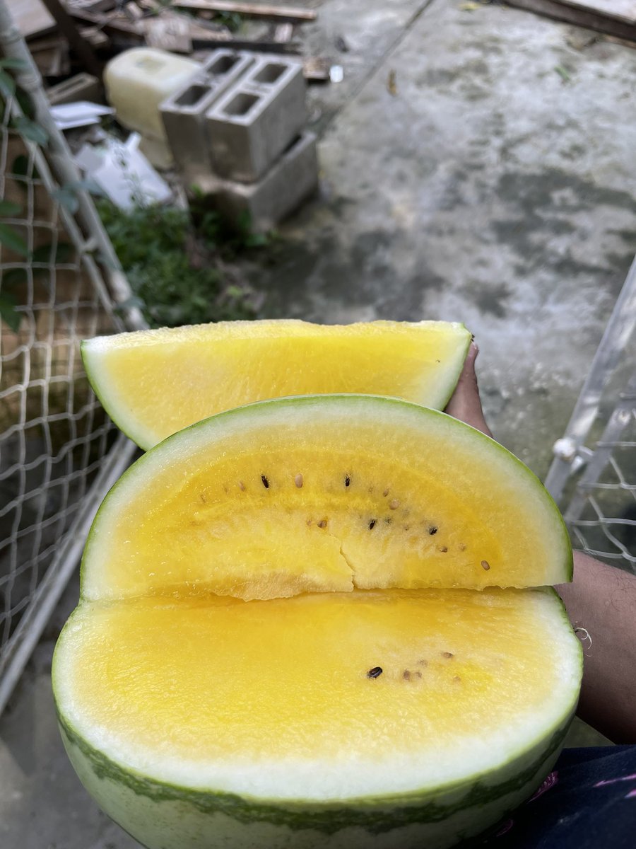 A ustedes también les gusta la sandía piña ? 😃