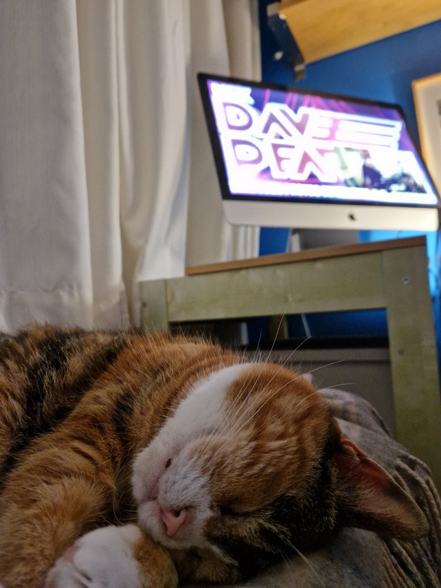 cdiverdesign's tweet photo. @dj_davepearce belfast cat purdy resting after a long trance weekend https://t.co/OzZOIFf3DP