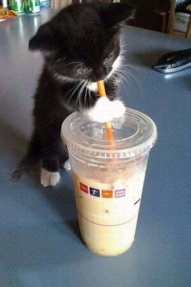 라라 렉시 ⁷ tweet media