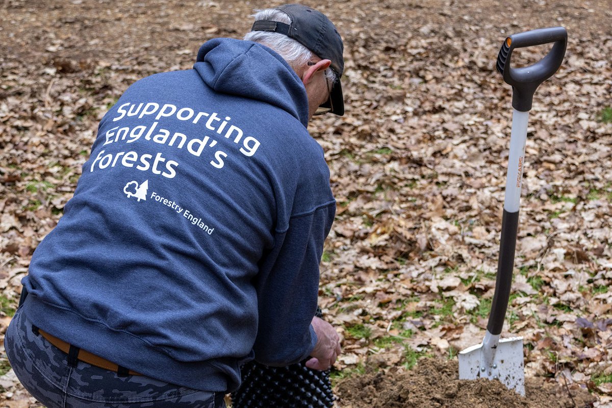 Our shadow #volunteer program is recruiting for March 2024. The scheme enables individuals to gain experience of managing recreation and forestry. Applications close on 7 January 2024. 🌳🌲 Find out more 👉 forestryengland.uk/article/shadow… #DorsetForests #volunteering