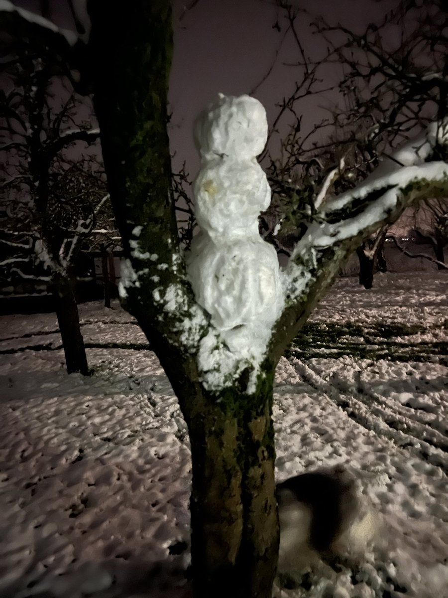 Eric Raad tweet media