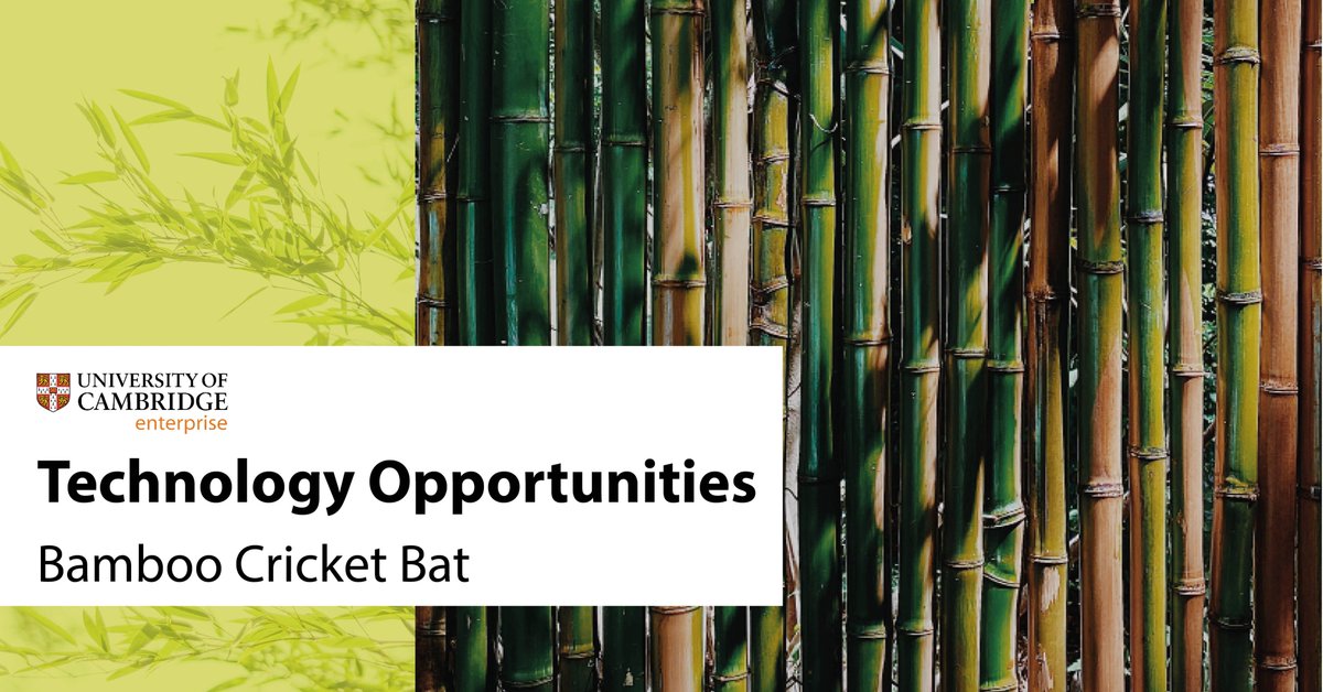 Embrace sustainability during #COP28 with our bamboo cricket bat - blending high-performance with eco-credentials for a greener cricket future. Learn more about this opportunity with <a href="/DarshilUShah/">Darshil Shah</a> &amp; Ben Tinkler Davis from <a href="/CamNatMat/">Centre for Natural Material Innovation (CNMI)</a>: bit.ly/419LTMY🌿🏏 #SustainableSports