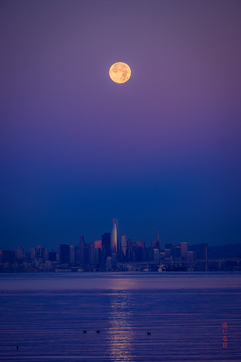 sensualeye's tweet image. Still chasing the moon.

#moonset #salesforce #sunrise #fujifilm #xh1