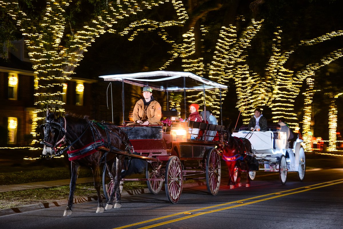 LakeCharlesCVB's tweet photo. Let the lights SHINE! Plan your trip to view our holiday light displays!🎄❄

You can even view some of these displays from the comfort of a horse-drawn carriage or train ride!🐴

List of light displays and Christmas events: https://t.co/FIXc7TJlUI https://t.co/MaZH83c7Jr