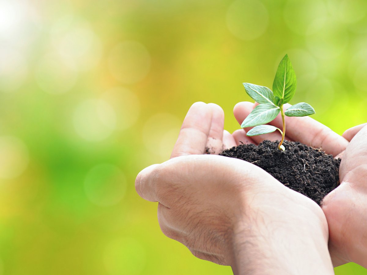 Congratulations to Dr Daniel Evans, a Soil Scientist at Cranfield, who is a recipient of the 2024 Arne Richter Award for Outstanding Early Career Scientists. 👏 

Read more. 👇
cranfield.ac.uk/press/news-202…

#WorldSoilDay #SoilAction #SoilHealth #SaveSoilFixClimateChange #ActionOnSoil