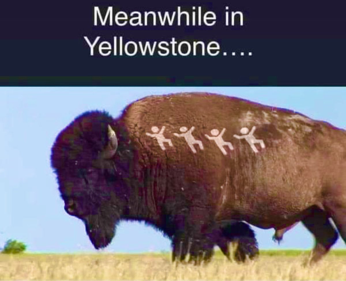 Lakota Man tweet media