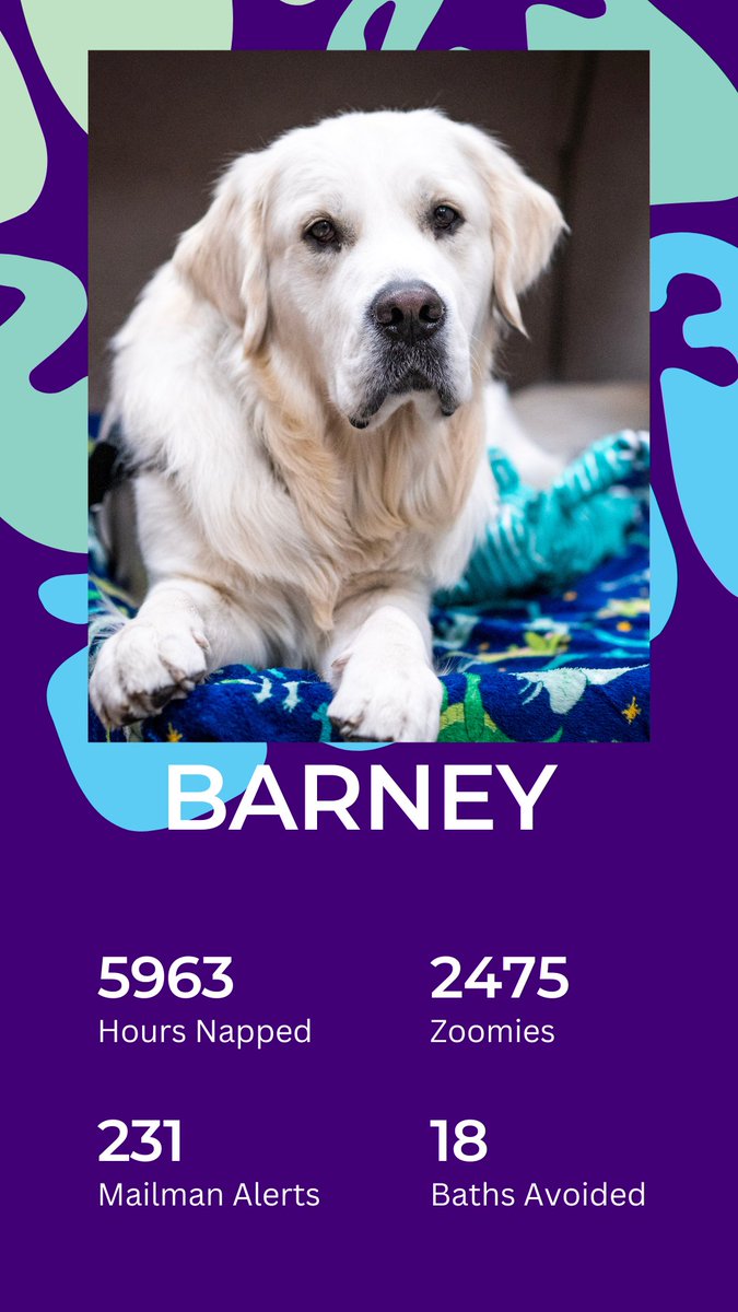 LancasterCo_Ne's tweet photo. Barney's 2023 Dogify Wrapped Results are in! Check it out. 

#SpotifyWrapped2023 #Dogify #Barney #TherapyDog #LancasterCountyNe https://t.co/nMjzIKnmGE