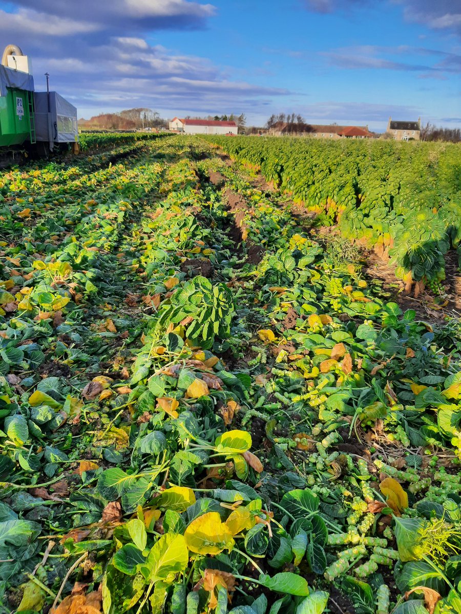 Alan M Steven tweet media