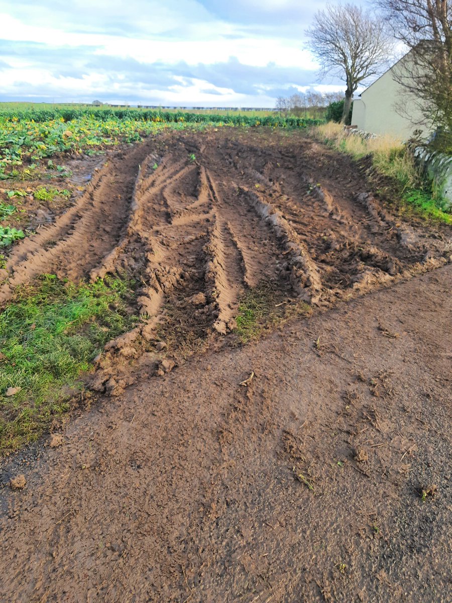 Alan M Steven tweet media