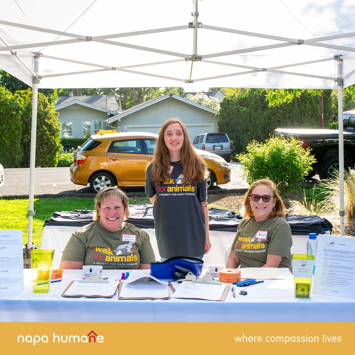 Celebrating International Volunteer Day with Napa Humane! 🐾✨
On this International Volunteer Day, we extend our heartfelt gratitude to the dedicated individuals who selflessly contribute their time and compassion to support Napa Humane's mission. 🌍🐕